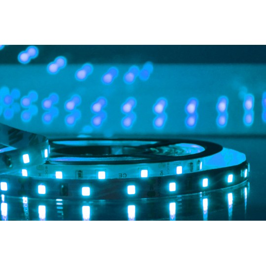 MLR-2835-60-ML 4.5W/1m 12V plava IP20 5m kotur SMD LED traka 60 LED/1m Mitea Lighting