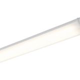 Batten Light 1453