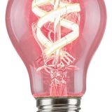 Filament-LED 1987