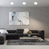 Shaun 3172