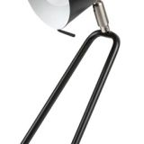 Olaf 5779