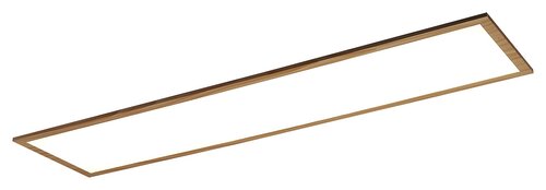 Almond 6909
