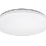 Cerrigen 71036