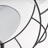 Cadmus 71043
