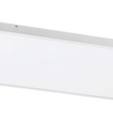 Damek2 71079