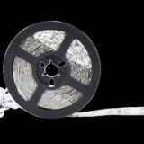 LED Strip 79025