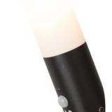 Black torch 8146
