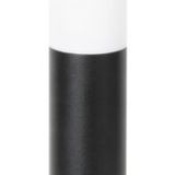 Black torch 8147